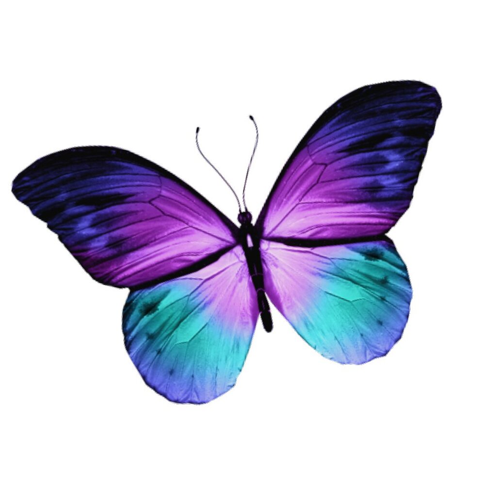 Meet your Posher, Mandi